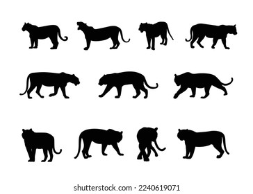 Set of stylized silhouettes of different poses tigers. Isolated on white background. Tiger logo designs set. Symbol, Vector.