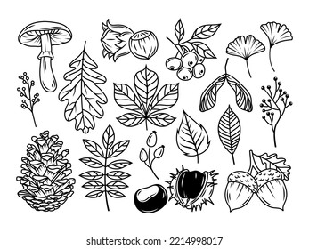 Set of stylized tree leaves. Collection of falling autumn leaves. Vector illustration of hand drawn plants. Doodle leaf. Linear art. Tattoo.