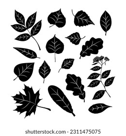 A set of stylized tree leaves. Collection of falling autumn leaves.