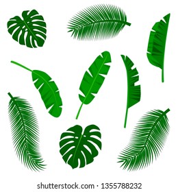 Set of stylized tropical leaves on a white background.Vector illustration.