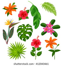 Set of stylized tropical plants, leaves and flowers. Objects for decoration, design on advertising booklets, banners, flayers.