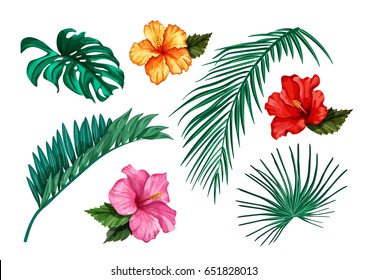 Set of stylized tropical plants, leaves and flowers. Objects for decoration, design on advertising booklets, banners, flayers. - stock vector