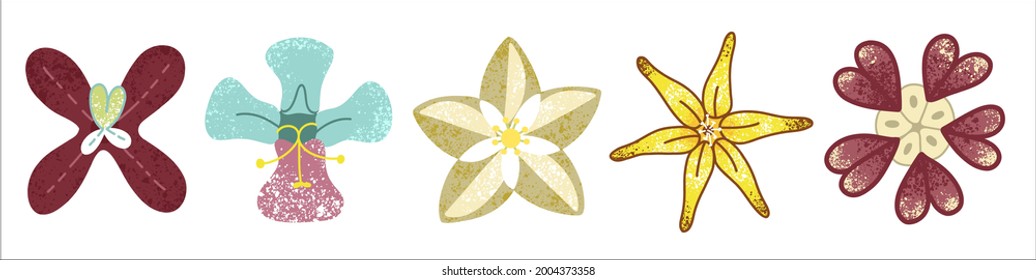 A set of stylized unusual colors. An illustration in the style of a complex flat.