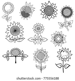 A set of stylized, various sunflowers.