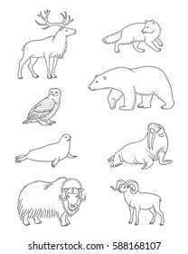 Set Stylized Vector Arctic Animals Contours Stock Vector (Royalty Free)  588168107 | Shutterstock