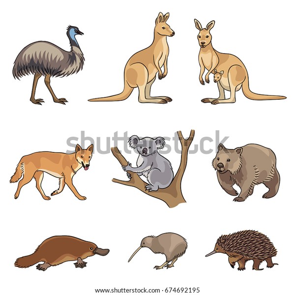 Set Stylized Vector Australian Animals Eps8 Stock Vector (Royalty Free ...