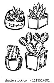 A set of stylized vector cactuses and succulents.