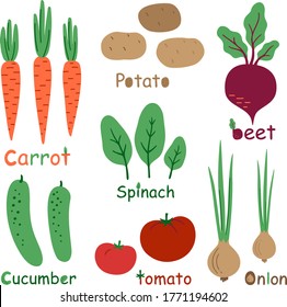 Set of stylized vegetables with the original inscriptions. Natural organic farm food: сarrots, potatoes, tomatoes, cucumbers, onions, spinach, beet. Vector flat illustration Isolated on a white.