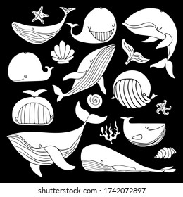 set of stylized whales. blue whale, sperm whale, oblique whale starfish, seaweed. Vector stock illustration hand-drawn. Cartoon white whales in different poses on a black background Hand drawn doodles