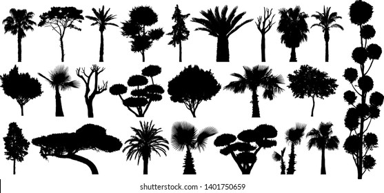 Set of subtropical trees and shrubs. Isolated vector silhouette on a white background