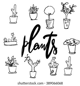 Set of succulent, cactus. Hand drawn illustration. Hand lettering word "plants"