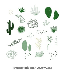 Set of succulent cactus plant doodle hand drawn vector illustration
