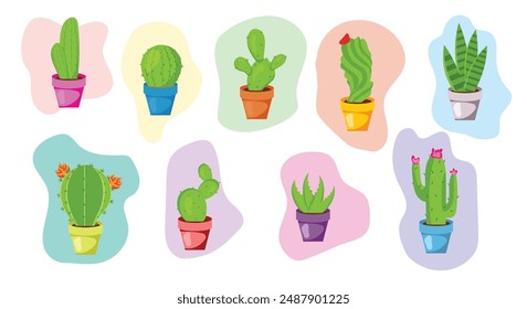 Set of succulent cactus plants flowers