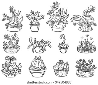 Set of succulent compositions in containers, black and white outline
