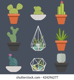 Set of succulent plants and cactus in pots and glass terrariums. Cartoon Cactus. Flat botanical vector icons.Vector illustration.
