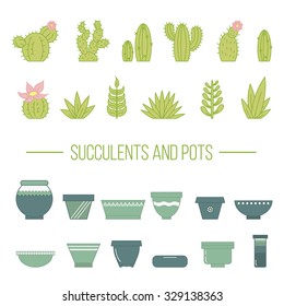 Set of succulent plants, cactuses and pots.
Linear botanical vector elements.