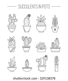 Set of succulent plants and cactuses in pots.
Linear botanical vector icons.