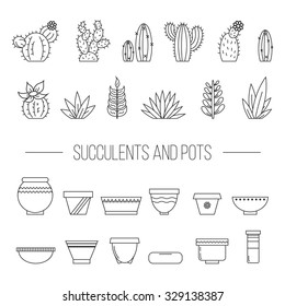 Set of succulent plants, cactuses and pots.
Linear botanical vector elements.