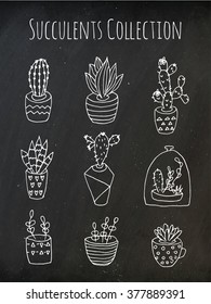 Set of succulent plants and cactuses in pots. Linear botanical vector icons on chalkboard