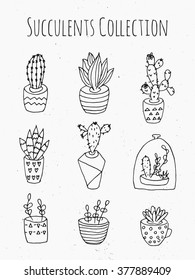 Set of succulent plants and cactuses in pots. Linear botanical vector icons