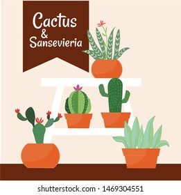 Set Of Succulent, specially cactus and sansevieria for decorative house flat illustration