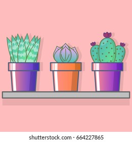 Set of succulents