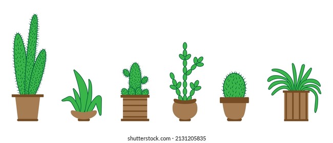 set of succulents and cacti
