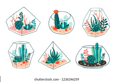 Set of succulents and cactus with terrariums. Vector floral design