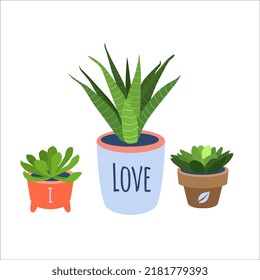 A set of succulents in colorful flower pots. Cute house plants, decorative succulents. Illustration for printing on T-shirt, merch and poster