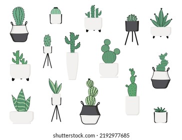 Set of succulents in cute stylish modern flowerpots; vector illustration in cartoon style in scandy style on white isolated background