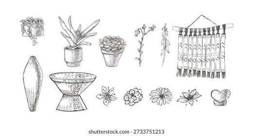 Un conjunto de suculentas, flores y decoraciones interiores. El conjunto incluye una Imagen de una mesa, un jarrón, una figura de corazón y un colgante de pared de estilo africano. Las suculentas incluyen gasteria, echeveria y peperomia. Imágenes vectoriales con sombreado. Planta de la casa sobre un fondo blanco. Vector Imagen de un suculento. Planta de interior no tóxica. Selva Urbana. 