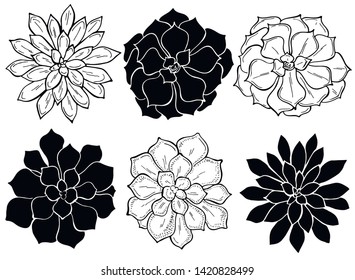 Conjunto de suculentos sobre un fondo blanco. Flores en el desierto. Ilustración vectorial.