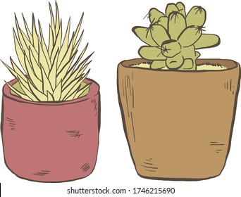 Conjunto de suculentos en macetas, ilustraciones de vector dibujadas a mano