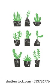 Set of succulents in pots. Vector illustration.