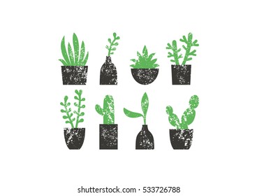 Set of succulents in pots. Vector illustration.