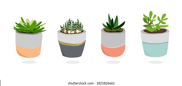 Conjunto de plantas macetas de suculentos. Cactus de diseño interior sencillo y sencillo, ilustraciones de cactus en coloridas ollas de moda.