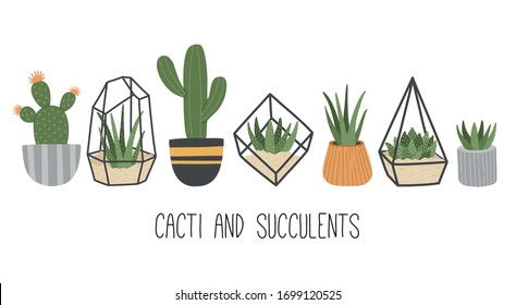 Set of succulents in terrariums and cacti in pots, collection of different hand drawn flowers, flat style, decor for Scandinavian interior. Vector illustration. 