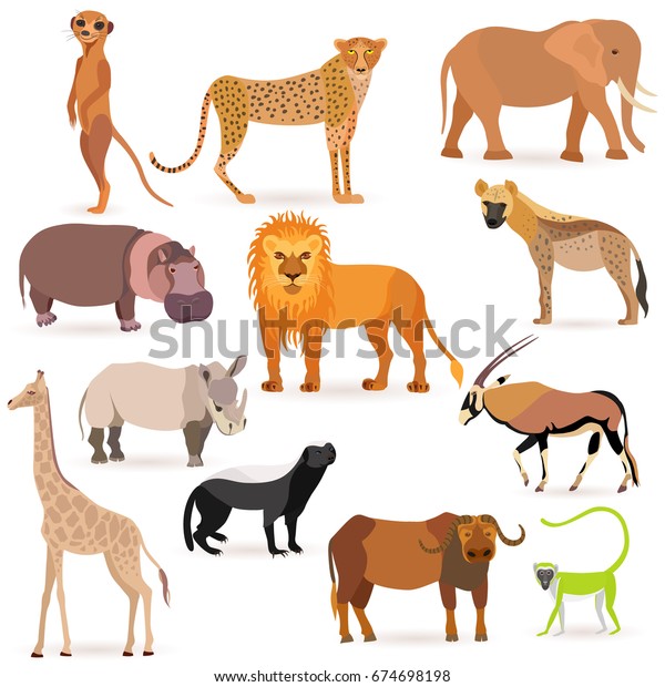 Set Such African Animals Meerkat Cheetah Stock Vector (Royalty Free ...