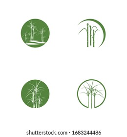 set of Sugar cane Logo Template vector symbol nature