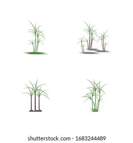conjunto de símbolos vectoriales de plantilla de logotipo de caña de azúcar