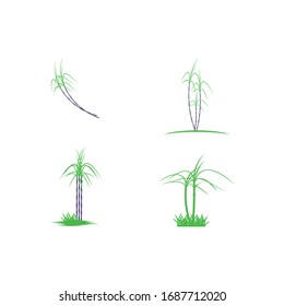 Establecer la naturaleza del símbolo vectorial de la plantilla de logotipo de la caña de azúcar