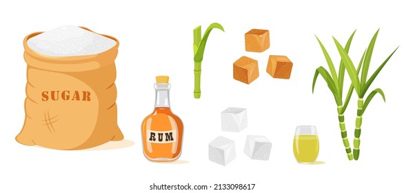 Set of sugar cane products isolated on white.