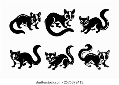 Set of sugar glider vector illustration