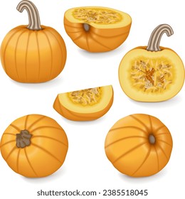 Set of Sugar Pie Pumpkins. Winter squash. Cucurbita pepo. Fruits and vegetables. Isolated vector illustration.