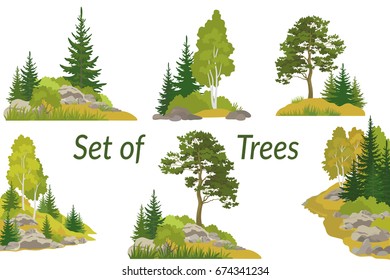 Set Summer and Autumn Landscapes, Isolated on White Background Coniferous and Deciduous Trees and Grass on the Rocks. Vector