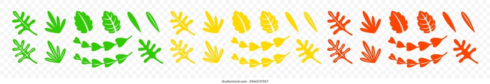 Set of summer and autumn leaves, graphic design. Leaf, plant, nature, foliage and flora, vector design and illustration