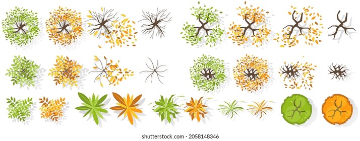 Set of summer and Autumn trees and plants top view. Various plants for landscaping and maps, for architectural and landscape design projects. Graphic, isolated on white. Vector. Green spaces