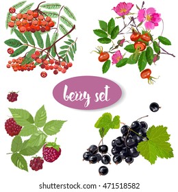 set with summer berries
