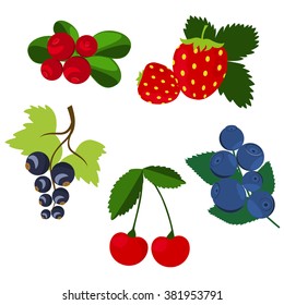 set of summer berries label, icon, design, strawberries, currants, blueberries, cranberries, cherries. Set berry on a white background.