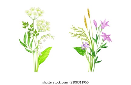 Set of summer blooming wildflowers and grass set. Beautiful bouquets of meadow flowers, lily of the valley, lily vector illustration